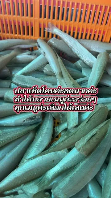 A crate of fresh sand whiting, silver-green, straight from the market.